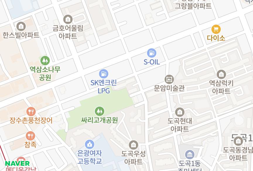 서울특별시 강남구 도곡동 롯데캐슬모닝 위치·실거래 시세 지도