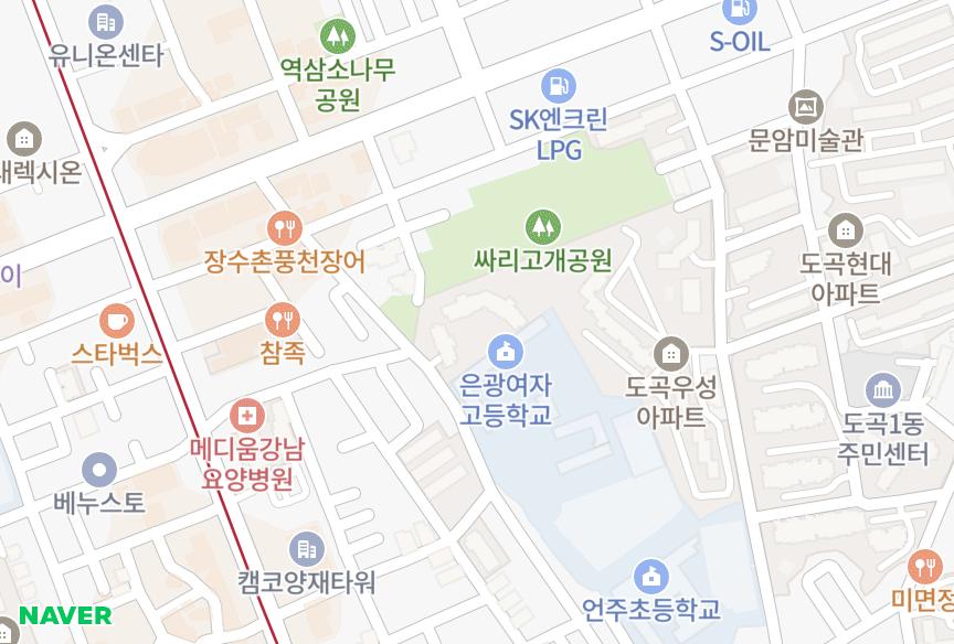 서울특별시 강남구 도곡동 도곡현대하이페리온 위치·실거래 시세 지도