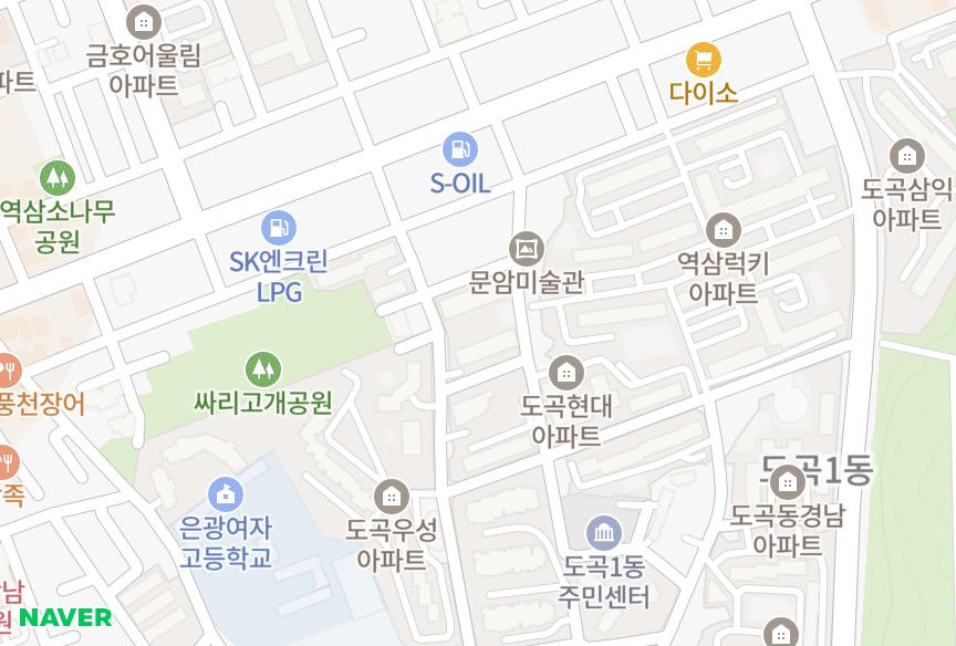 서울특별시 강남구 도곡동 도곡3차아이파크 위치·실거래 시세 지도