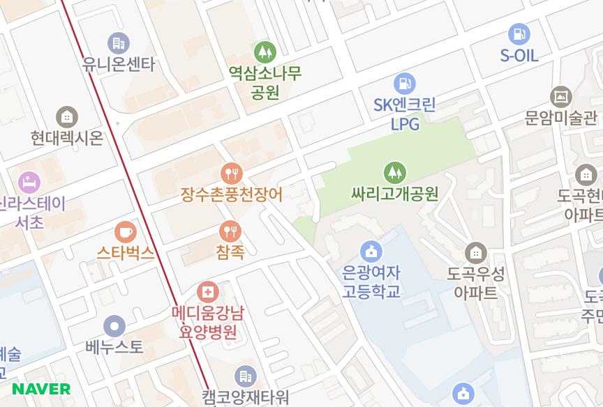 서울특별시 강남구 도곡동 대명비발디 위치·실거래 시세 지도