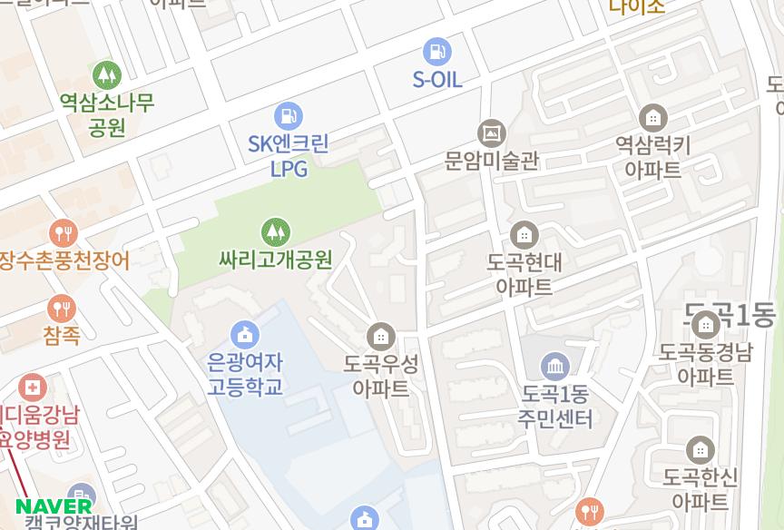 서울특별시 강남구 도곡동 도곡2차I'PARK 위치·실거래 시세 지도