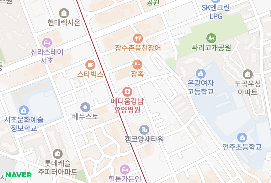 서울특별시 강남구 도곡동 도곡푸르지오1차 위치·실거래 시세 지도