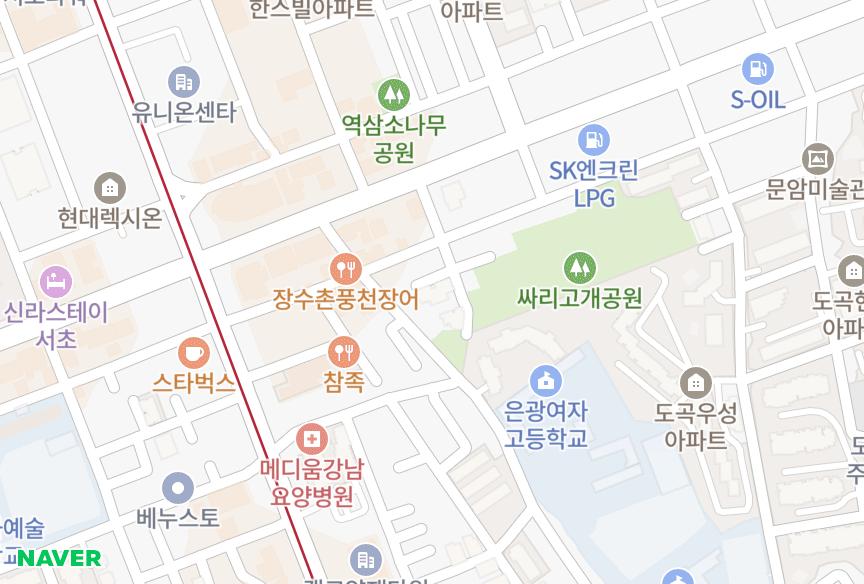 서울특별시 강남구 도곡동 현대아이리스1차 위치·실거래 시세 지도