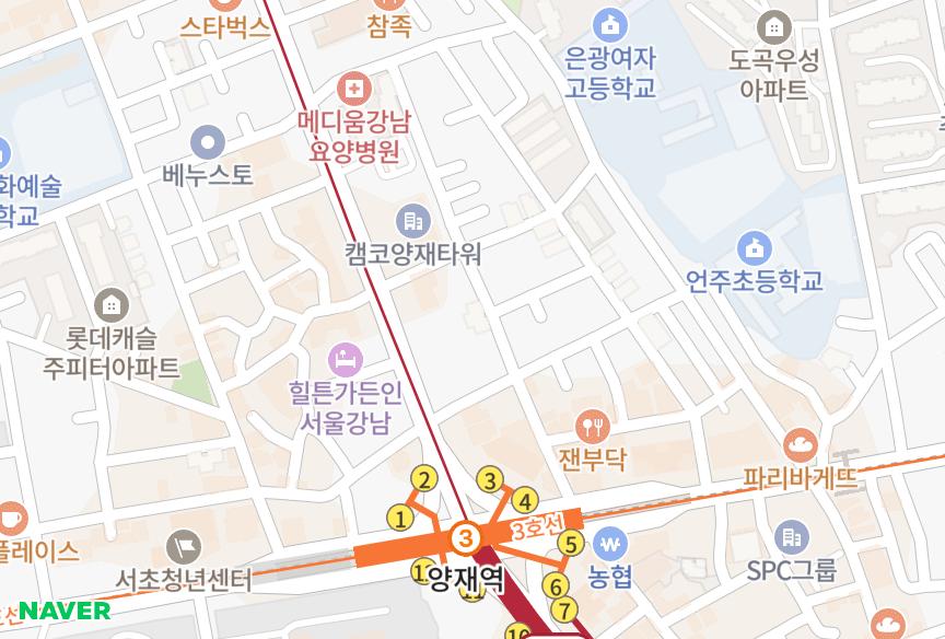 서울특별시 강남구 도곡동 원팰리스 위치·실거래 시세 지도