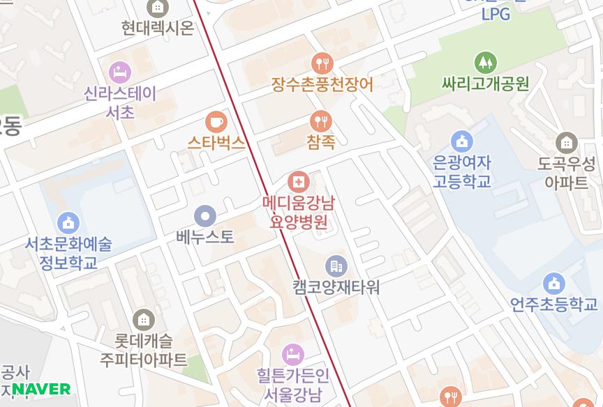 서울특별시 강남구 도곡동 도곡푸르지오아파트(102동) 위치·실거래 시세 지도