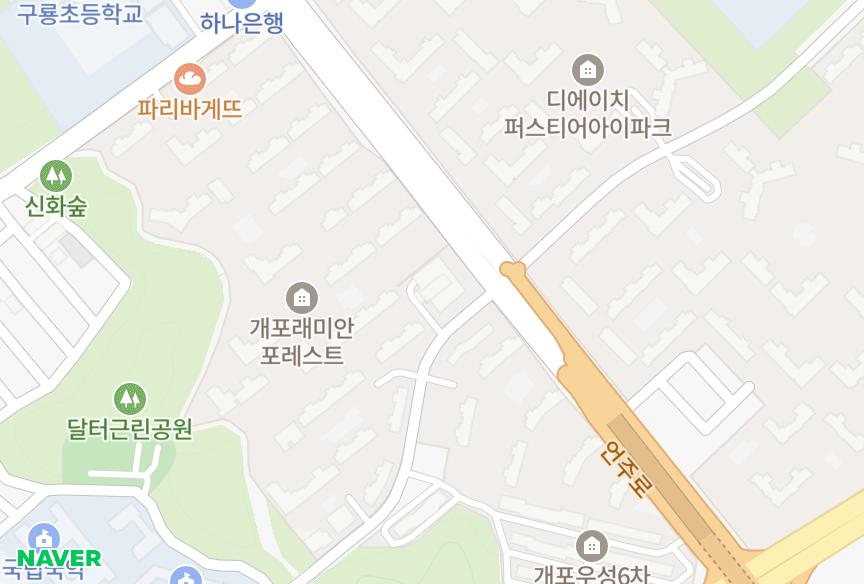 서울특별시 강남구 개포동 개포자이르네 위치·실거래 시세 지도