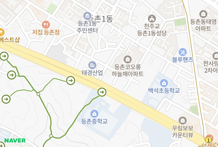 서울특별시 강서구 등촌동 청솔펠리체 위치·실거래 시세 지도