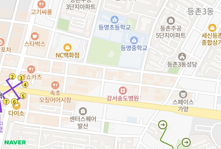 서울특별시 강서구 등촌동 마곡루나플라체 위치·실거래 시세 지도