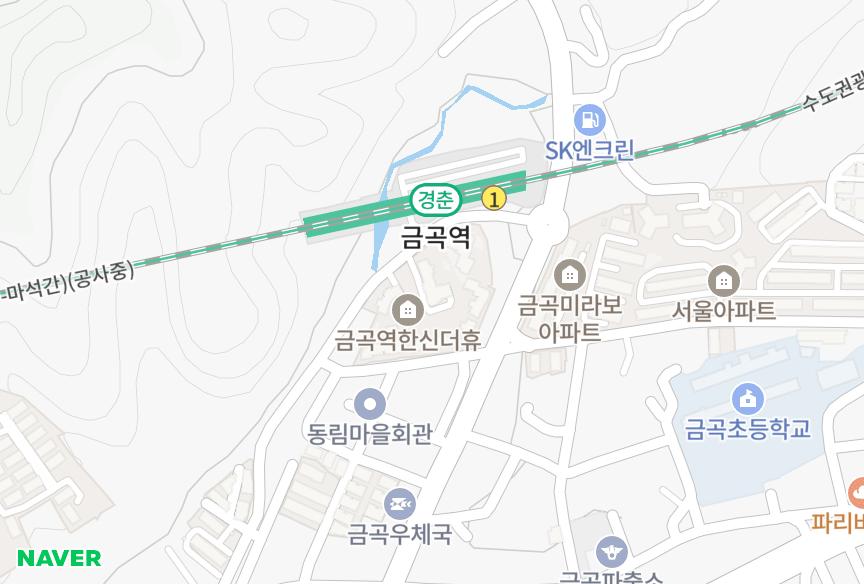 경기도 남양주시 금곡동 금곡역디에브스 위치·실거래 시세 지도