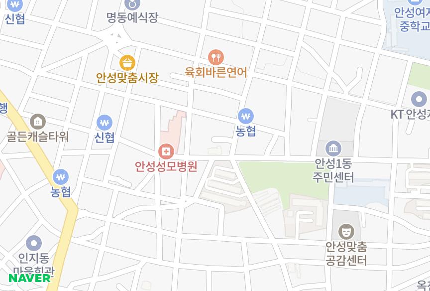 경기도 안성시 동본동 벨라스II 위치·실거래 시세 지도