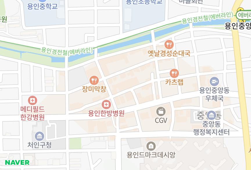 경기도 용인시 처인구 김량장동 골드빌 위치·실거래 시세 지도