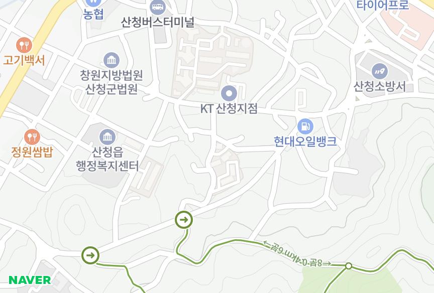 경상남도 산청군 산청읍 지리 대안A 위치·실거래 시세 지도