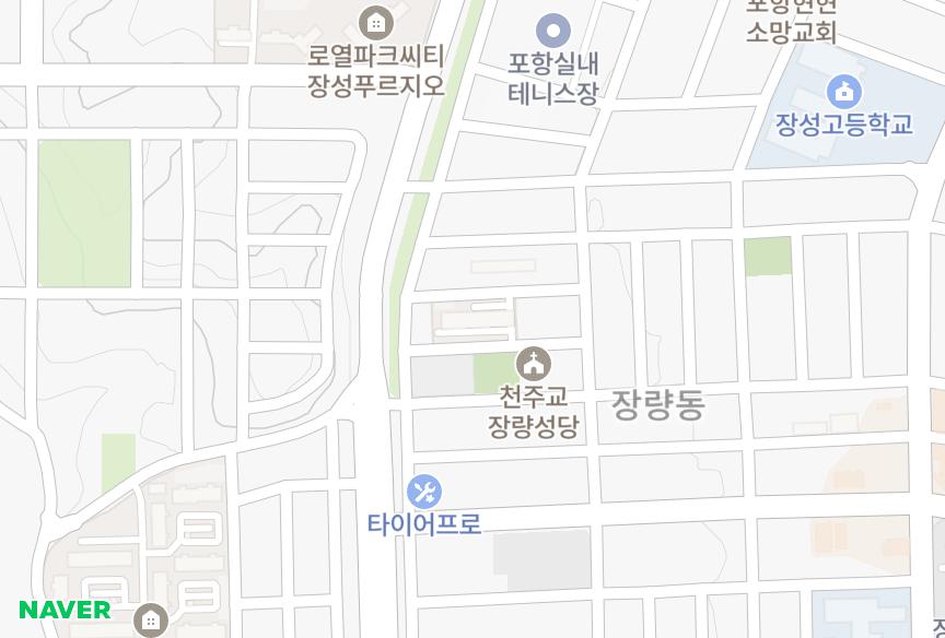 경상북도 포항시 북구 장성동 장성경성홈타운골드 위치·실거래 시세 지도