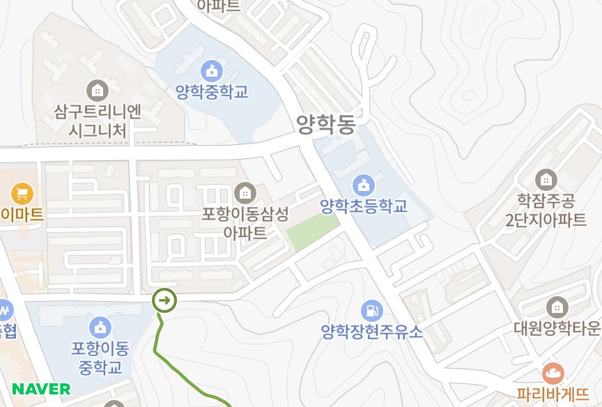 경상북도 포항시 북구 득량동 신흥아델리움 위치·실거래 시세 지도