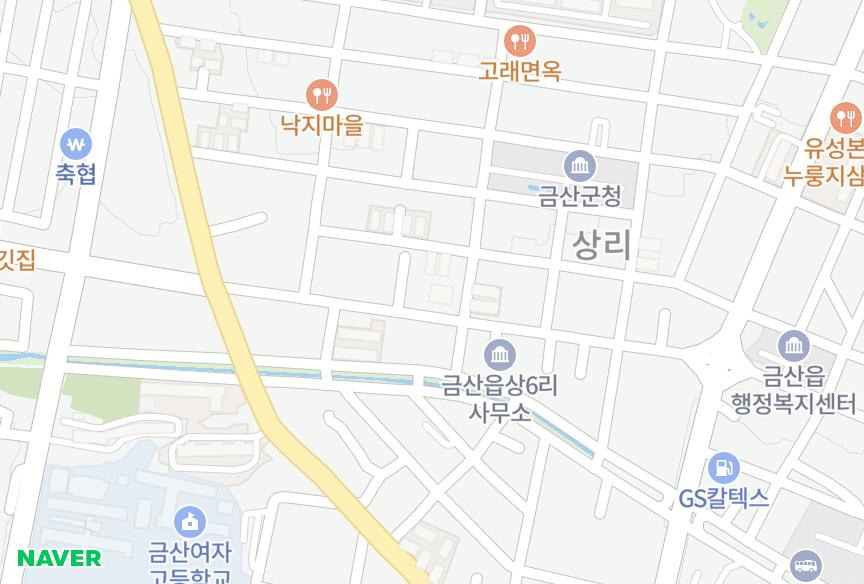 충청남도 금산군 금산읍 상리 드림팰리스 위치·실거래 시세 지도