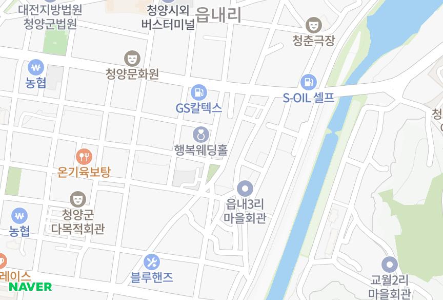 충청남도 청양군 청양읍 읍내리 두영산드레 위치·실거래 시세 지도