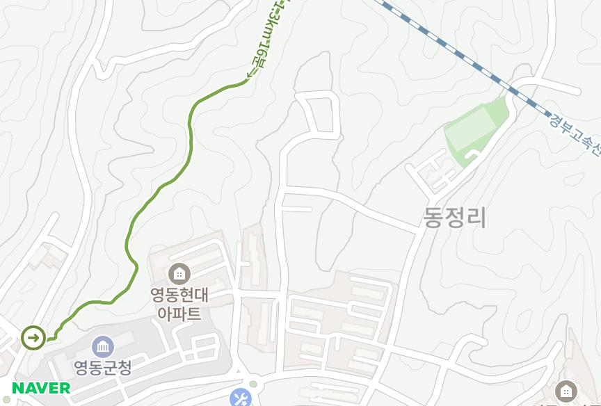 충청북도 영동군 영동읍 동정리 세림 위치·실거래 시세 지도