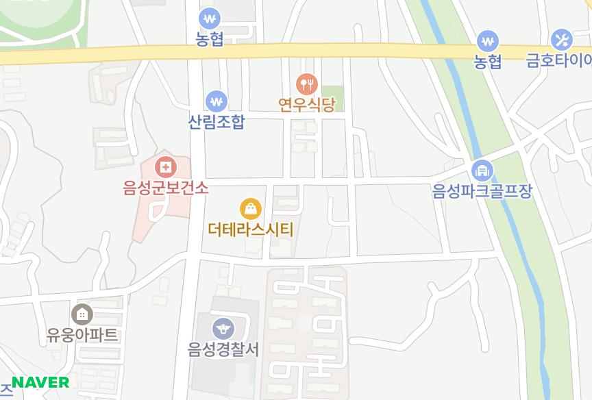 충청북도 음성군 음성읍 읍내리 시티빌 위치·실거래 시세 지도