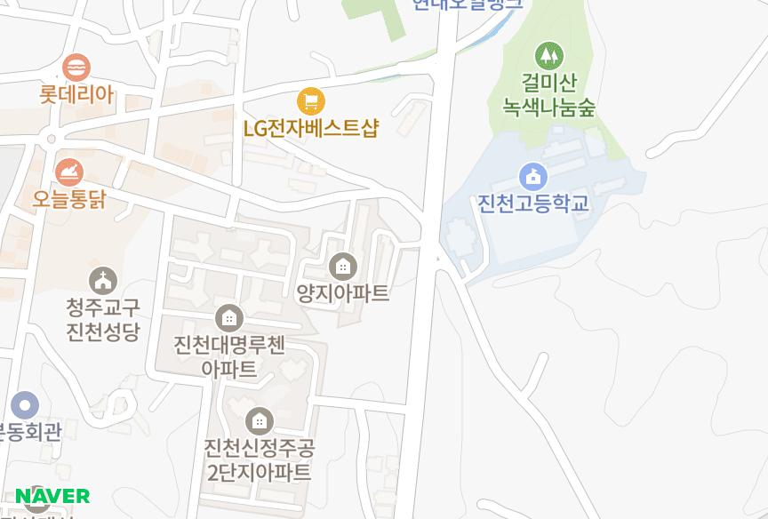 충청북도 진천군 진천읍 교성리 장미 위치·실거래 시세 지도