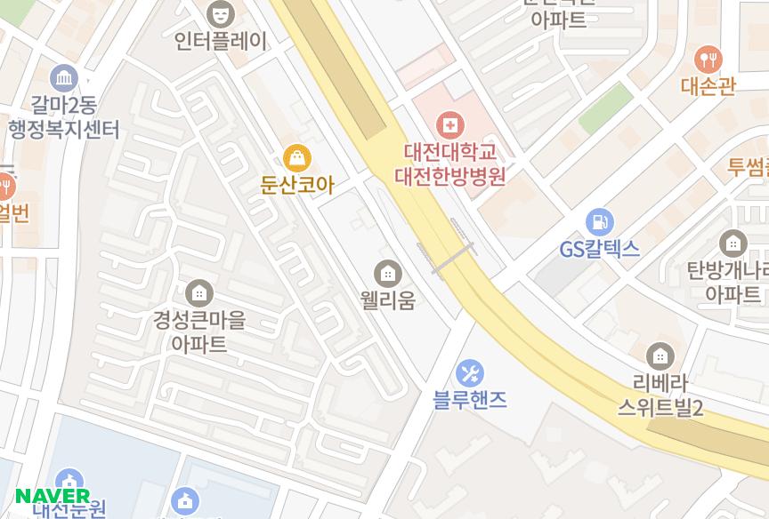대전광역시 서구 갈마동 웰리움 위치·실거래 시세 지도