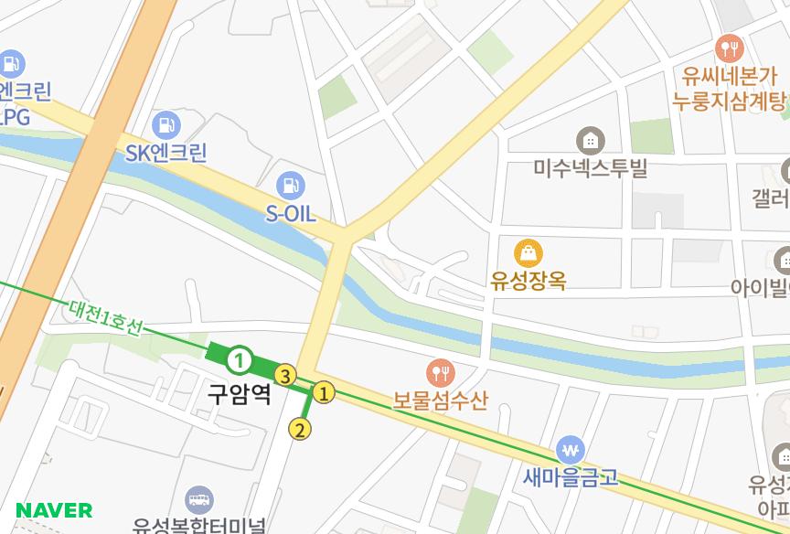 대전광역시 유성구 장대동 아인스빌 위치·실거래 시세 지도