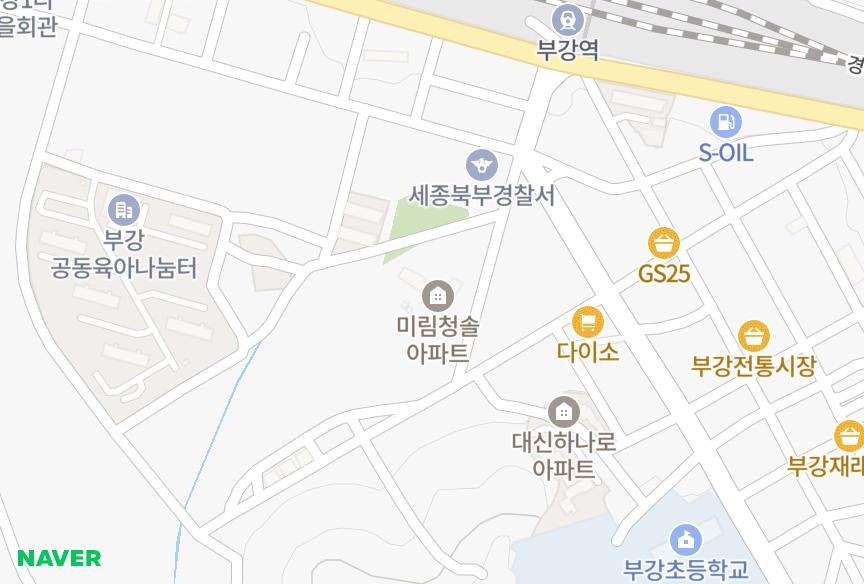 세종특별자치시 세종특별자치시 부강면 부강리 청솔 위치·실거래 시세 지도