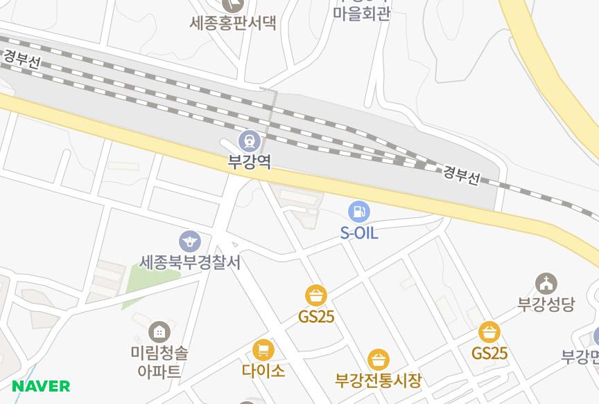 세종특별자치시 세종특별자치시 부강면 부강리 부강주연 위치·실거래 시세 지도