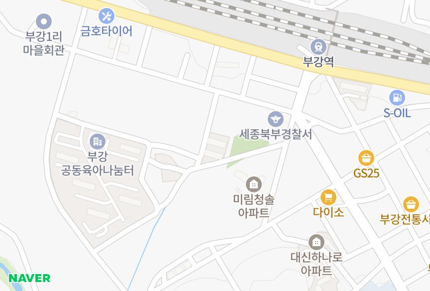세종특별자치시 세종특별자치시 부강면 부강리 대광 위치·실거래 시세 지도