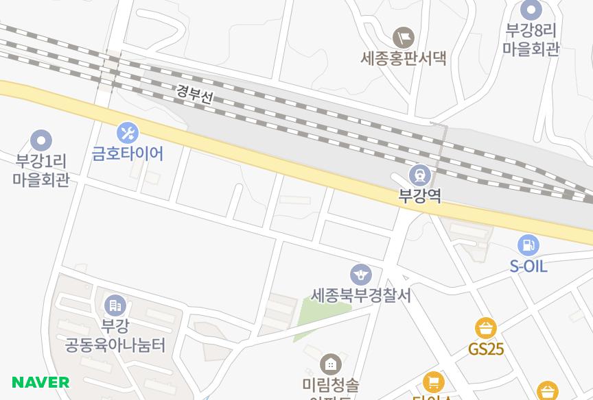 세종특별자치시 세종특별자치시 부강면 부강리 삼호 위치·실거래 시세 지도