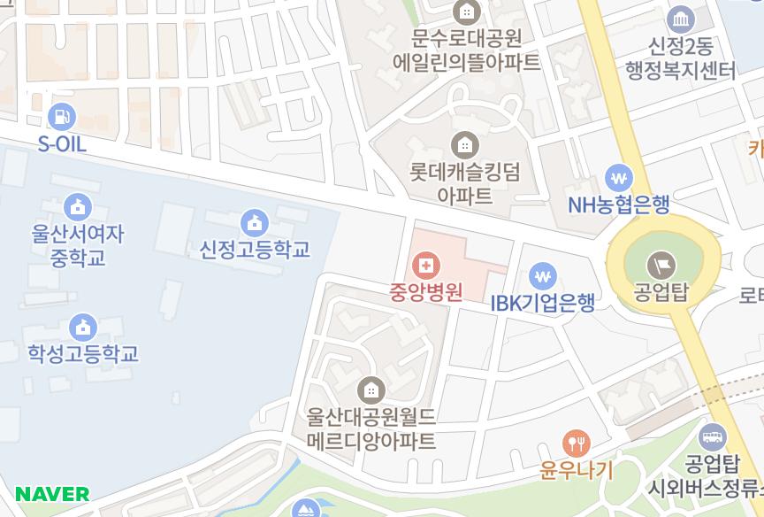 울산광역시 남구 신정동 양지 위치·실거래 시세 지도