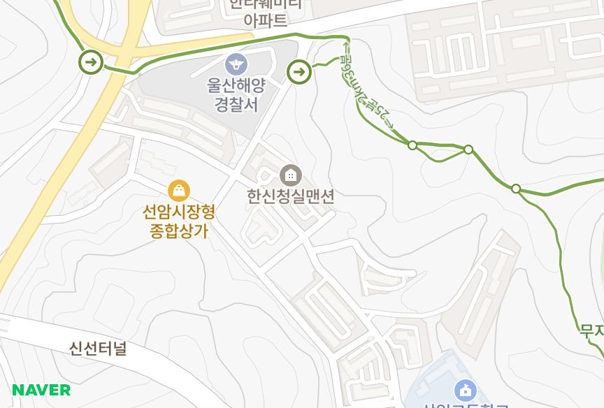 울산광역시 남구 선암동 선암동아크리티공동주택 위치·실거래 시세 지도