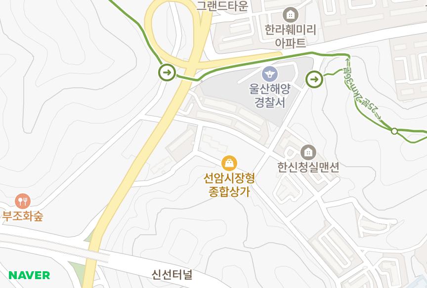 울산광역시 남구 선암동 아성타워맨션 위치·실거래 시세 지도