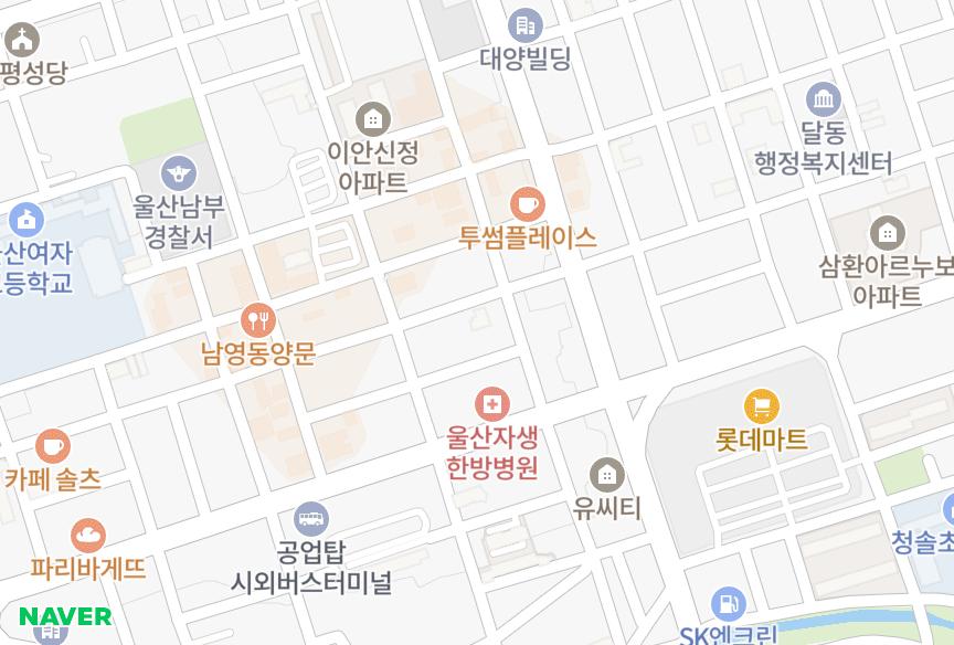 울산광역시 남구 신정동 성훈팰리스 위치·실거래 시세 지도