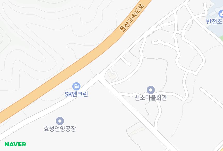 울산광역시 울주군 언양읍 반천리 세명그린파크 위치·실거래 시세 지도