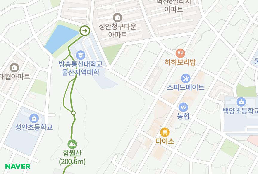울산광역시 중구 성안동 다솜까사미아 위치·실거래 시세 지도