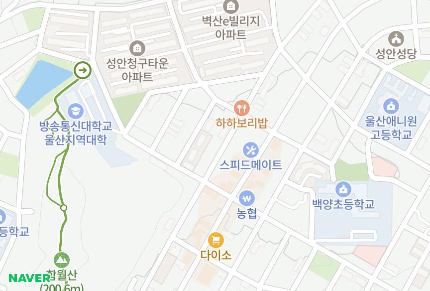 울산광역시 중구 성안동 동남하이빌3차 위치·실거래 시세 지도