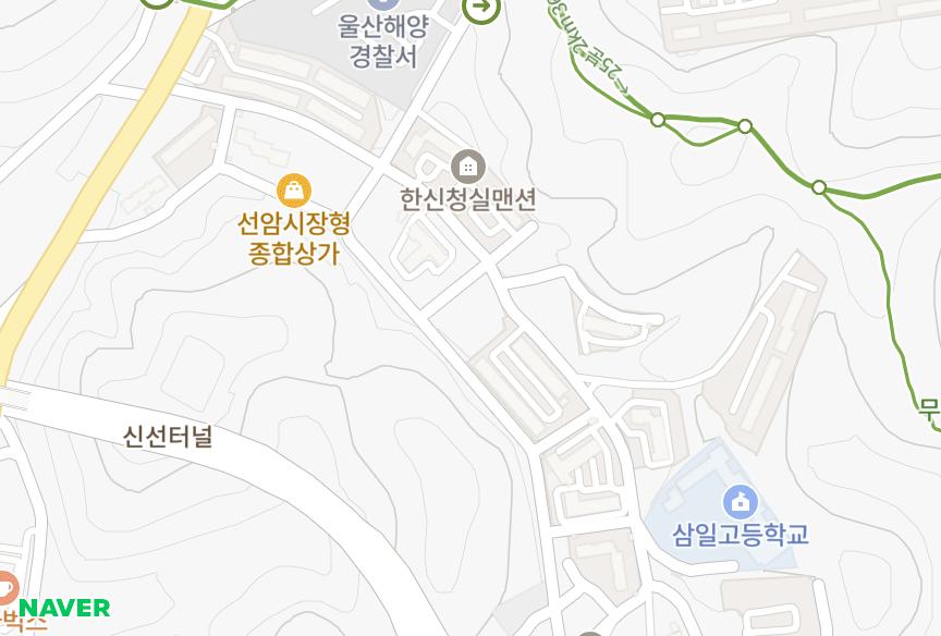 울산광역시 남구 선암동 남영가,나 위치·실거래 시세 지도